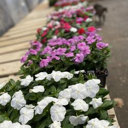 Bergen County Garden Center
