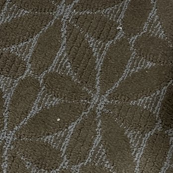 Wyndham Garden Texarkana - Dirty carpet - Hotels Near Me - Texarkana, Texas Wyndham Garden Texarkana - Dirty carpet - Hotels Near Me - Texarkana, Texas