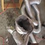 Photo of Wright's Dryer Vent Cleaning