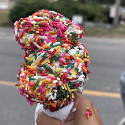 Village Ice Cream - Small with jimmies.