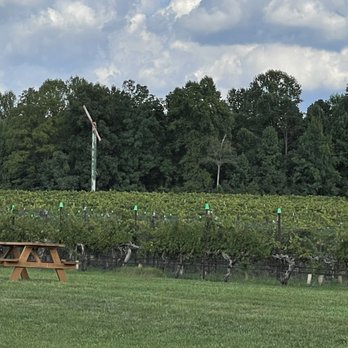 Rayson Winery & Vineyards - a man flying a kite - Wineries Near Me - Mocksville, North Carolina Rayson Winery & Vineyards - a man flying a kite - Wineries Near Me - Mocksville, North Carolina