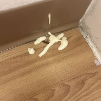 Motel 6 - Roach - Hotels Near Me - Rohnert Park, California