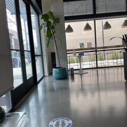 Elevate Dental - Lobby with a Fiddle Leaf Fig