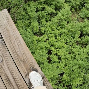 Go Ape - Ziplining Near Me - Kansas City, Missouri