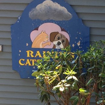 Raining Cats & Dogs - Pet Stores Near Me - Mystic, Connecticut Raining Cats & Dogs - Pet Stores Near Me - Mystic, Connecticut