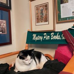 Mystery Pier Books - Booksie the cat