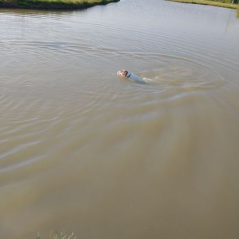 Ingram Park - Dog Parks Near Me - Pleasant Prairie, Wisconsin