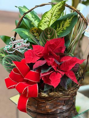 Belleview Florist by null