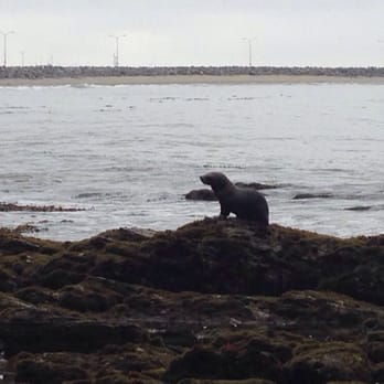 Point Fermin Park - Easter Seal! - Parks Near Me - San Pedro, California