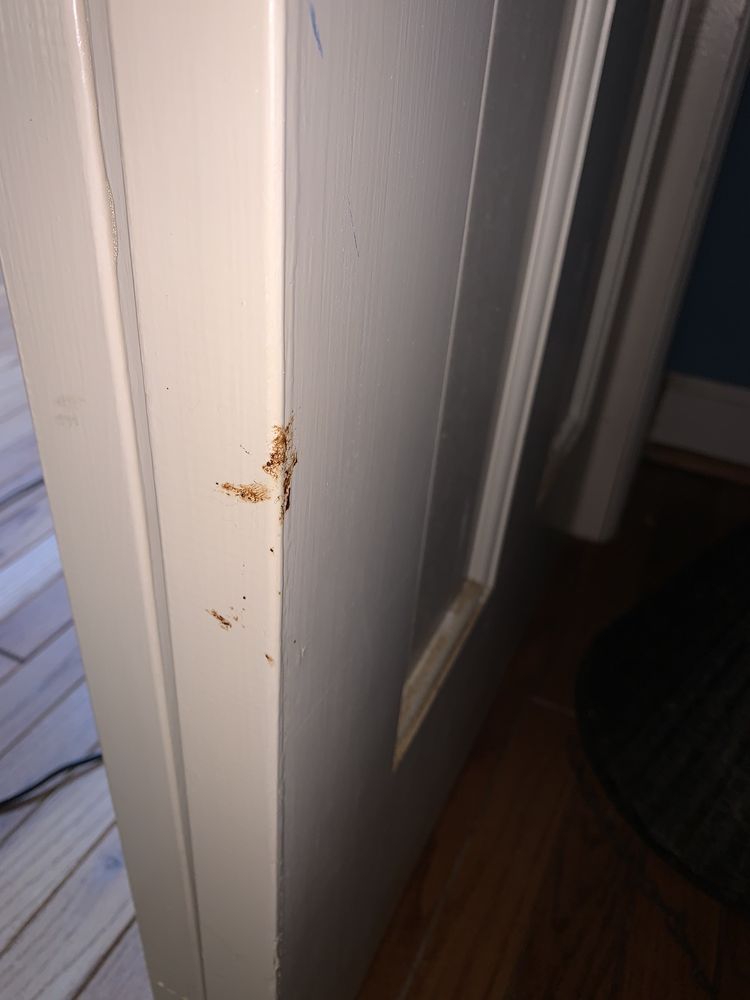 THE FARM Updated September 2024 86 Photos & 23 Reviews 450 Waterworks Rd, Danville