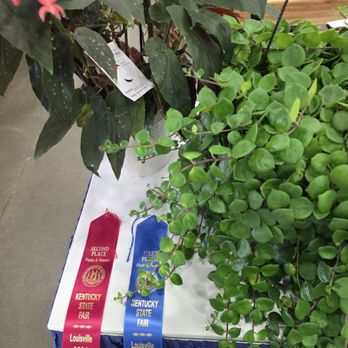Kentucky State Fair - My participation results in the 2026 State Fair!! - Stadiums & Arenas Near Me - Louisville, Kentucky Kentucky State Fair - My participation results in the 2026 State Fair!! - Stadiums & Arenas Near Me - Louisville, Kentucky