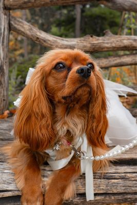 Biscuits & Bath - Riverside Blvd by null