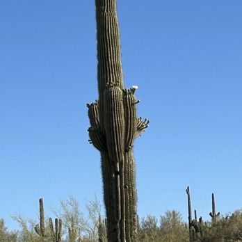 Wind Cave Trail - Hiking Near Me - Mesa, Arizona