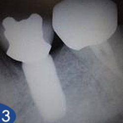 Alice G. Alatorre, DDS