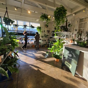 Good Time - Part of the plant section - Coffee & Tea Near Me - Long Beach, California
