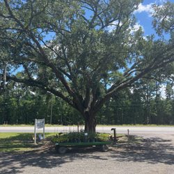 Coastal Nursery & Landscape Supply