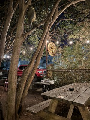 Yellow Jacket Social Club by null