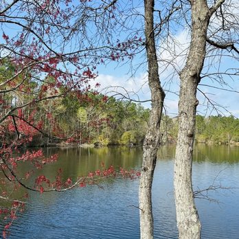 Lien Tri Monastery - Buddhist Temples Near Me - Mount Vernon, Alabama Lien Tri Monastery - Buddhist Temples Near Me - Mount Vernon, Alabama