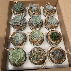 Buena Creek Nursery - Baby shower gifts
