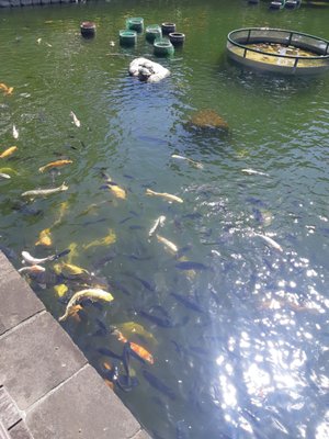 Taipei Confucius Temple by null