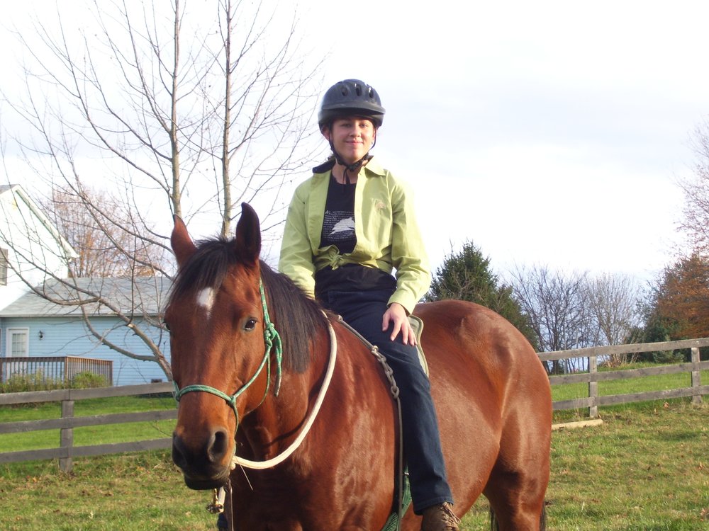 WHISPER TRAINING Updated June 2024 18 Photos Gainesville