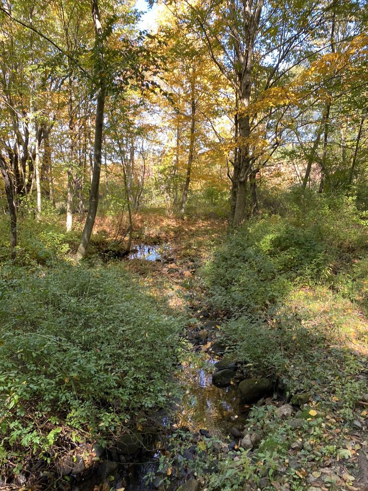 C & M EQUESTRIAN CENTER Updated September 2024 280 West St, Bolton