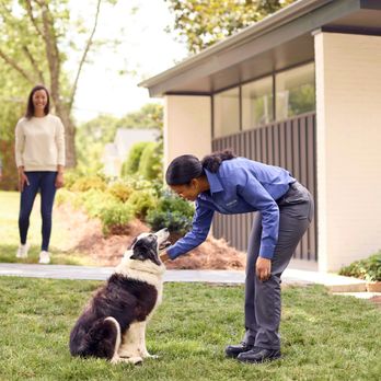 PURCOR Pest Solutions - Pest Control Near Me - Hayward, California PURCOR Pest Solutions - Pest Control Near Me - Hayward, California