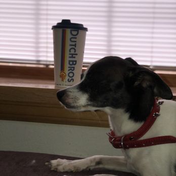 Dutch Bros Coffee - Coffee & Tea Near Me - Portland, Oregon