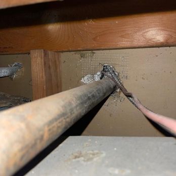 Attical Insulation and Rodents - Insulation Installation Near Me Attical Insulation and Rodents - Insulation Installation Near Me