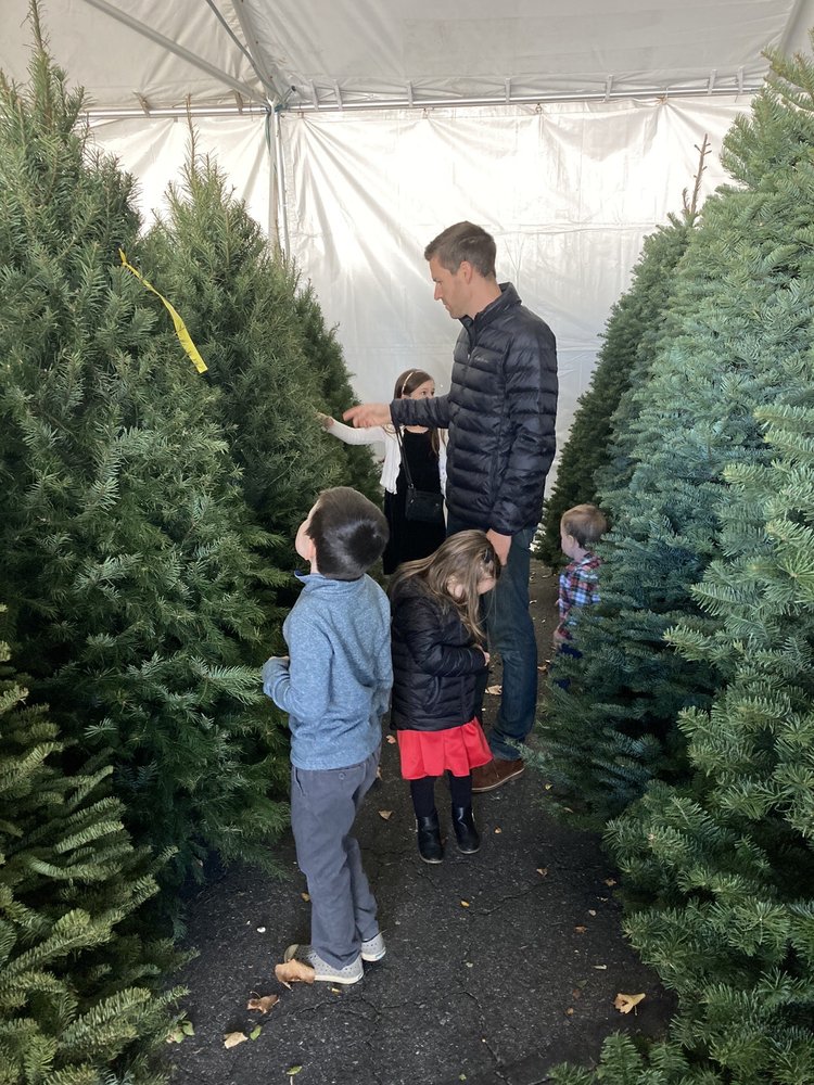 TINA’S TREES Updated October 2024 14 Photos & 15 Reviews 24201