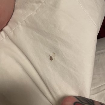 Boston Marriott Newton - Blood? - Hotels Near Me - Newton, Massachusetts Boston Marriott Newton - Blood? - Hotels Near Me - Newton, Massachusetts