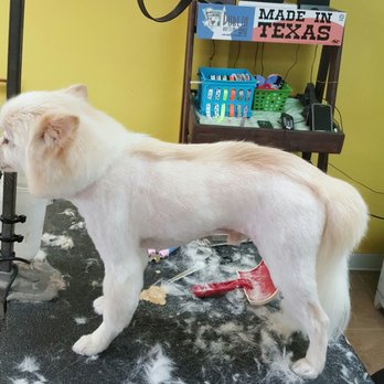Kristi's Pet Palace - Pet Groomers Near Me - Tomball, Texas
