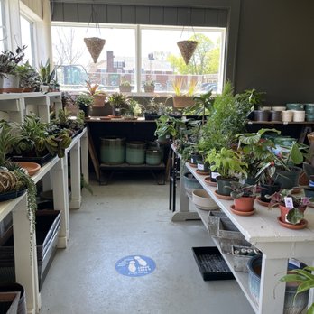 Elbers Landscape Service - a room full of plants - Landscaping Near Me - Buffalo, New York