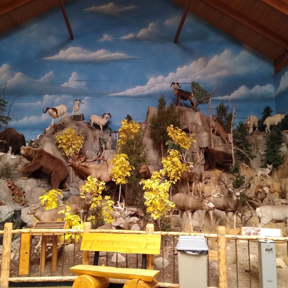Cabela's - Inside the store they have this display - Guns & Ammo Near Me - Verdi, Nevada Cabela's - Inside the store they have this display - Guns & Ammo Near Me - Verdi, Nevada