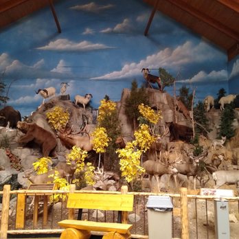 Cabela's - Inside the store they have this display - Guns & Ammo Near Me - Verdi, Nevada