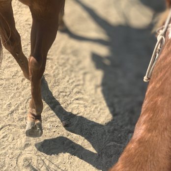 Poway Equestrian Center - Horseback Riding Near Me - Poway, California