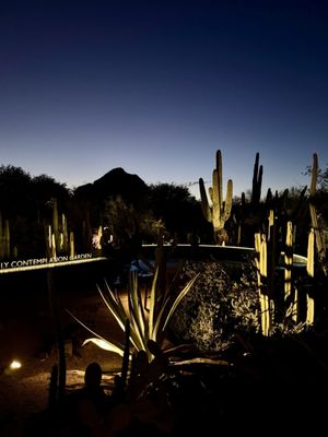 Desert Botanical Garden by null