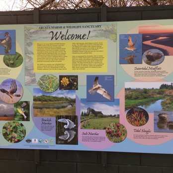 Arcata Marsh Interpretive Center - On the trail near the Interpretation Center. - Museums Near Me - Arcata, California