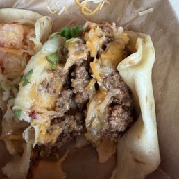 "Steak" mystery meat taco "Steak" mystery meat taco