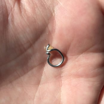 Le Donut - Metal found inside my donut!! - Donuts Near Me - Tacoma, Washington Le Donut - Metal found inside my donut!! - Donuts Near Me - Tacoma, Washington