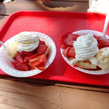 Oak Haven Farms  - Strawberry Shortcakes - Ranches Near Me - Sorrento, Florida