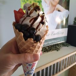 The Organic Earthling - We serve Only 8 Frozen Yogurt!  Fresh Fruit Toppings!  Safe for most Diabetics and Lactose Intolerants!  Gluten Free!  Only 32 Cal.