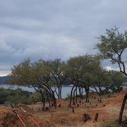 Chetin's Chipping - Land cleared for lake view