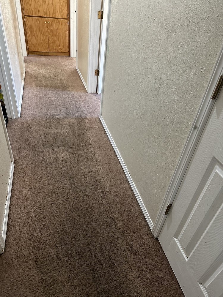 BEN BAILEY CARPET & UPHOLSTERY STEAM CLEANERS Updated June 2024 13