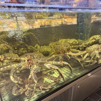 Fjellskaal Seafood Restaurant - Seafood Near Me - Bergen, 12