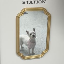 Hounds & Co