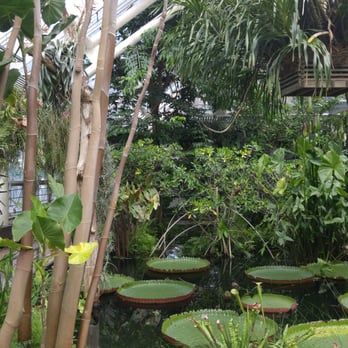 Brooklyn Botanic Garden - Aqua dome - Botanical Gardens Near Me - Brooklyn, New York Brooklyn Botanic Garden - Aqua dome - Botanical Gardens Near Me - Brooklyn, New York