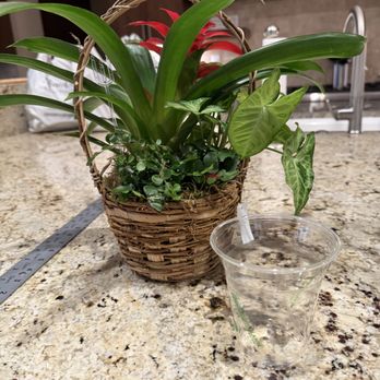 Miracle Flowers - Note there is a glass to the left of the arrangement I thought I was ordering. I included this cup for size comparison. - Florists Near Me - Folsom, California Miracle Flowers - Note there is a glass to the left of the arrangement I thought I was ordering. I included this cup for size comparison. - Florists Near Me - Folsom, California
