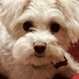 Zoey