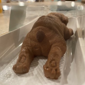 Timeless Tea - Chocolate Bulldog Mouss - Bubble Tea Near Me - Bellevue, Washington